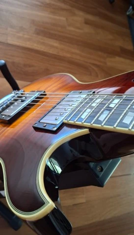Schecter Solo-6 Custom