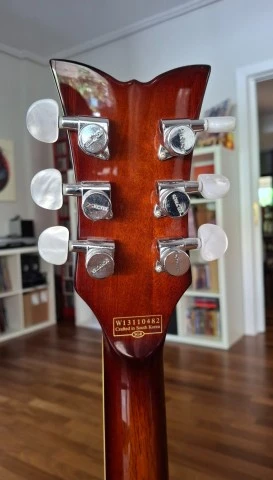 Schecter Solo-6 Custom