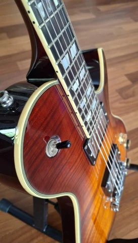 Schecter Solo-6 Custom