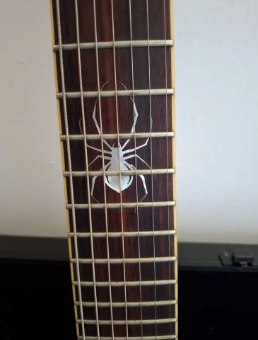 Schecter Diamond Series Chris Howorth V-7 Signature (7-