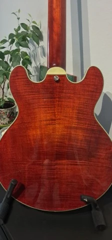Eastman T484 (2025)