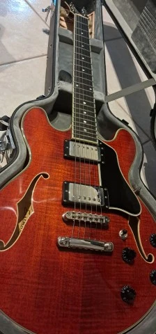 Eastman T484 (2025)