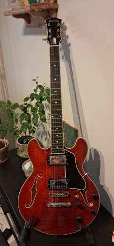 Eastman T484 (2025)