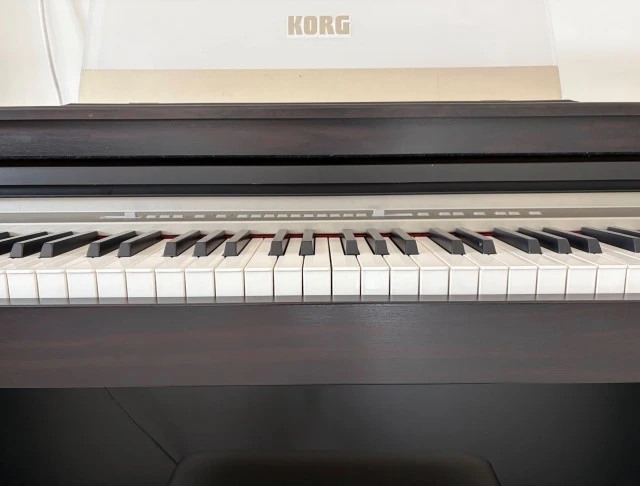Korg EC350 Ψηφιακό Πιάνο 88 πλήκτρων με Hammer Action