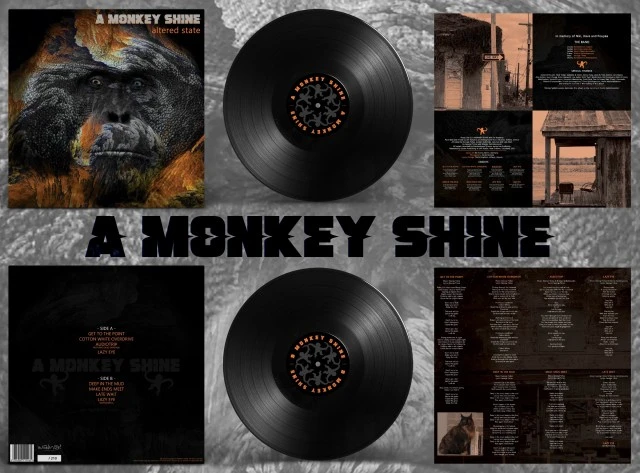 Κιθαρίστας για τους A Monkey Shine
