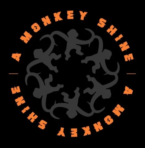 Κιθαρίστας για τους A Monkey Shine