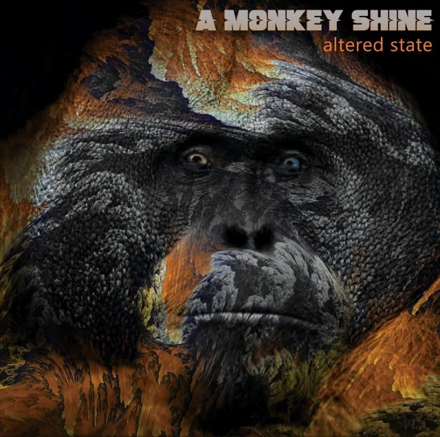 Κιθαρίστας για τους A Monkey Shine