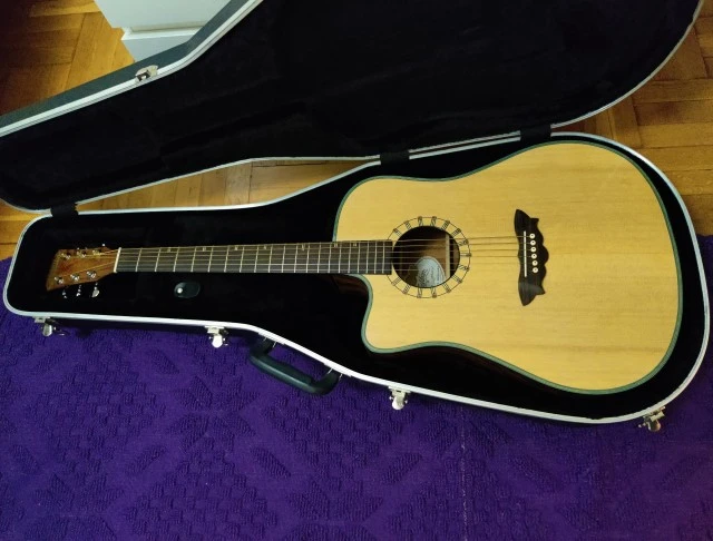 Washburn D46SCELHK ακουστική αριστερή / lefthanded