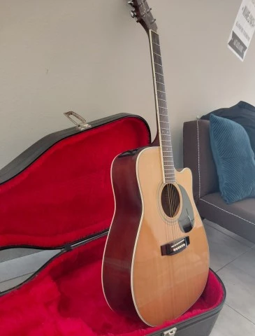 Takamine EG 332c