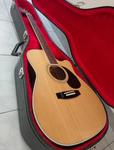 Takamine EG 332c