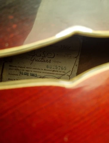 Vintage EKO Guitars 1963 – Made in Italy – Σπάνια ηλεκτρική archtop