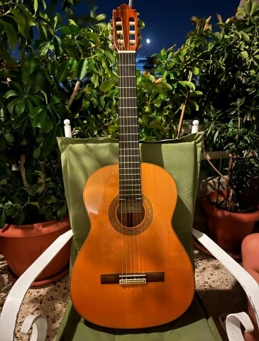 Κιθάρα Flamenco Vicente Carrillo Blanca (2003)