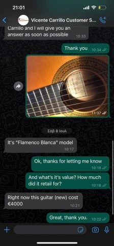 Κιθάρα Flamenco Vicente Carrillo Blanca (2003)
