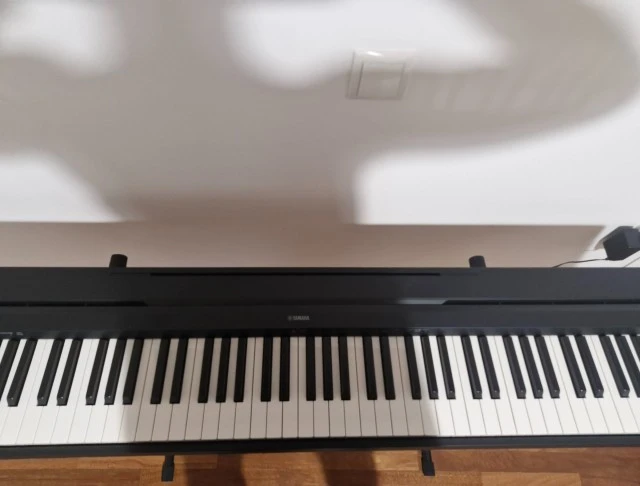 Stage piano