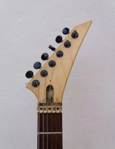 Skunk Brothers tool box guitar 