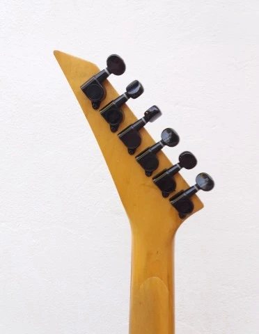 Skunk Brothers tool box guitar 