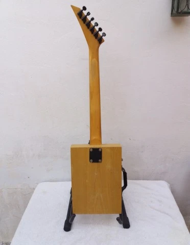 Skunk Brothers tool box guitar 