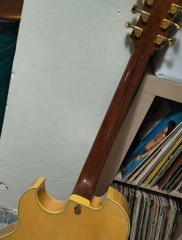 Ibanez Pat Metheny PM100