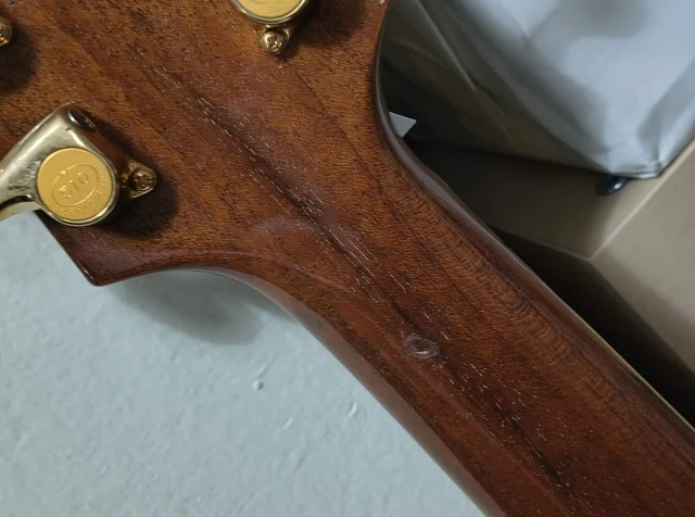 Ibanez Pat Metheny PM100