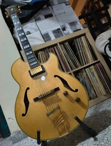 Ibanez Pat Metheny PM100