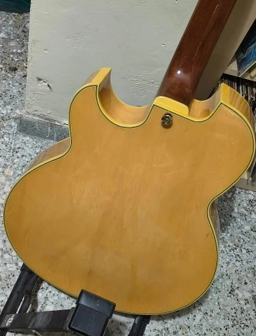 Ibanez Pat Metheny PM100