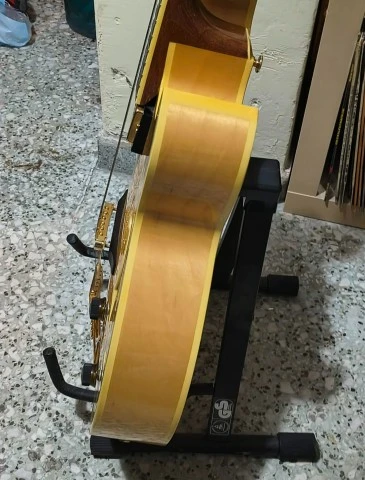 Ibanez Pat Metheny PM100