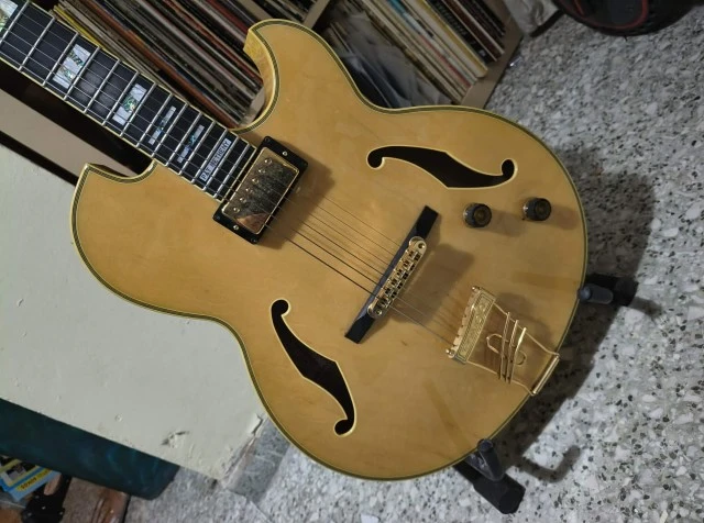 Ibanez Pat Metheny PM100