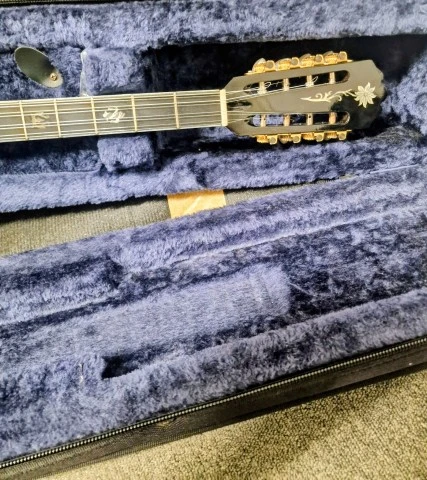 Μπουζούκι, Bouzouki