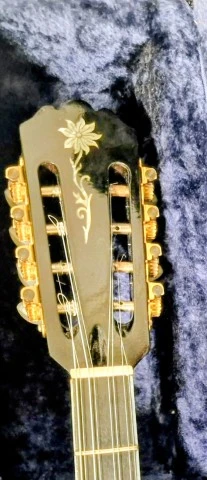 Μπουζούκι, Bouzouki