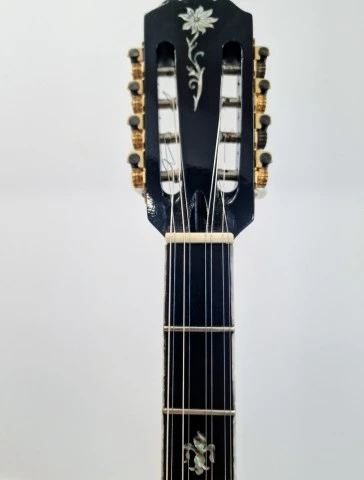Μπουζούκι, Bouzouki