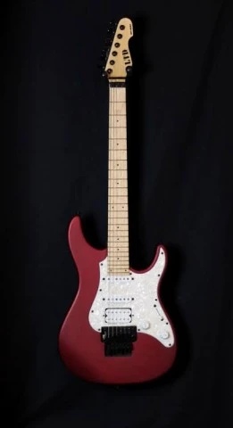esp ltd sn200 fr 
