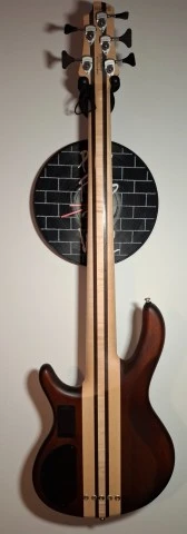 Cort artisan A5 FMMH