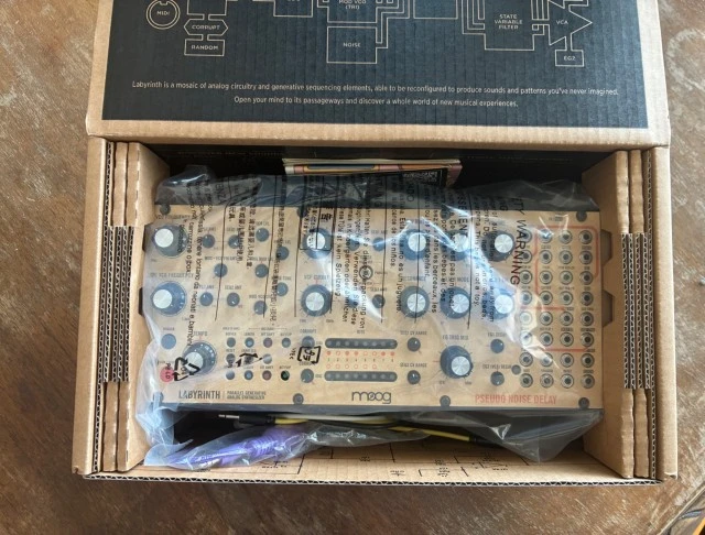 Moog Labyrinth