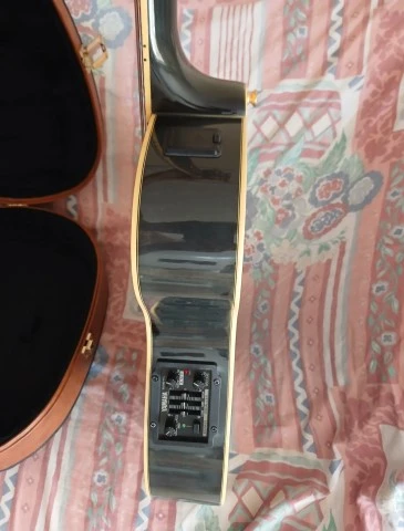 Yamaha APX 10 LA