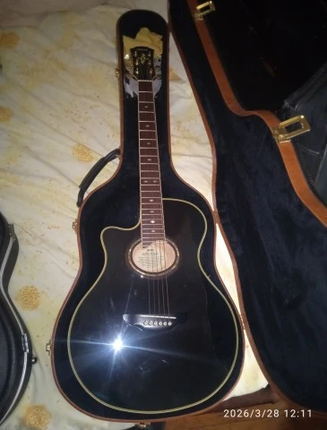 Yamaha APX 10 LA