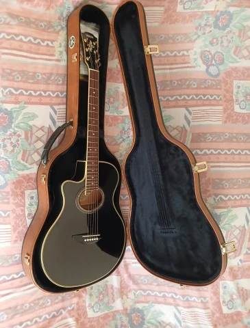 Yamaha APX 10 LA