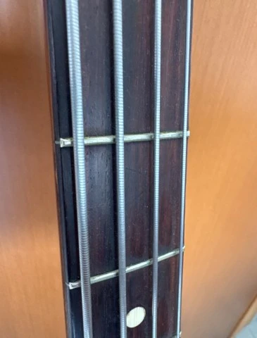 EKO Cobra shortscale