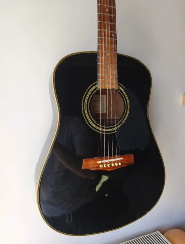 Ακουστική Κιθάρα Ibanez Performance PF10BK