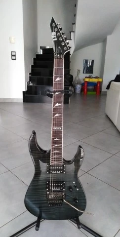 ESP LTD 300FM