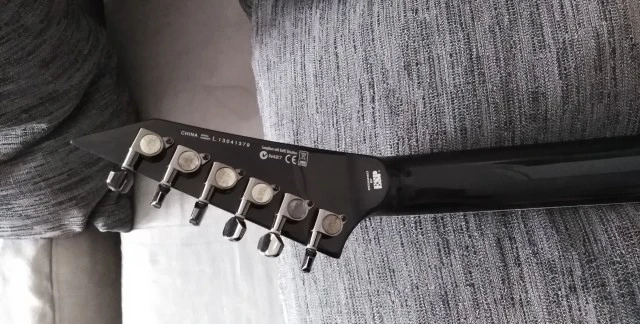 ESP LTD 300FM