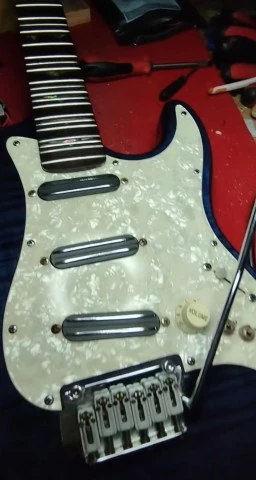 Microtonal Electric Guitar (Tradition SP-1)