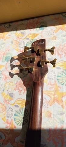 Ibanez K5 Fieldy (Korn) Signature