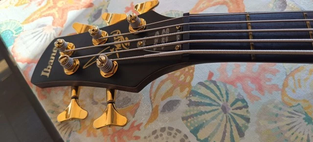 Ibanez K5 Fieldy (Korn) Signature
