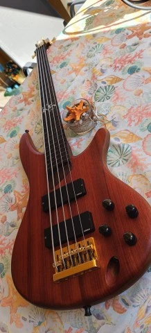 Ibanez K5 Fieldy (Korn) Signature