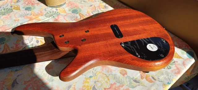Ibanez K5 Fieldy (Korn) Signature