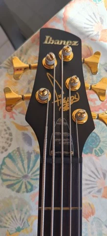 Ibanez K5 Fieldy (Korn) Signature