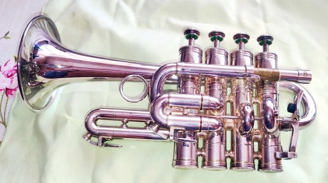 Henri Selmer Paris Bb/A 365 BLF Piccolo Trumpet -Guy Touvron model