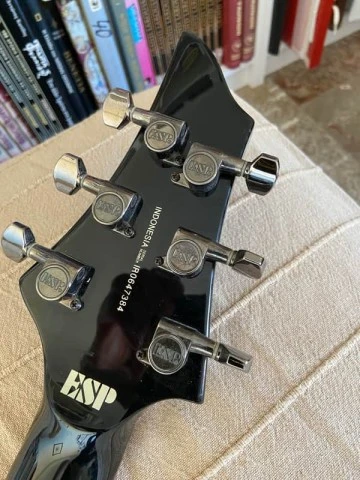 ESP LTD F-250 2006 - Neck thru/ Floyd Rose