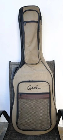Godin Ultra A6