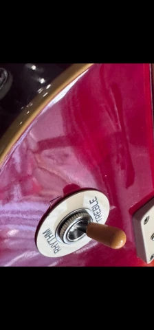 Epiphone les Paul με Epiphone case 
